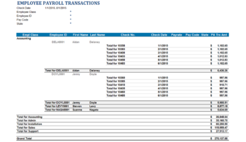 Gp010 Professional Payroll Transactions By Class