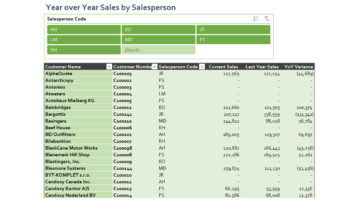 Nav085 Year Over Year Sales By Salesperson