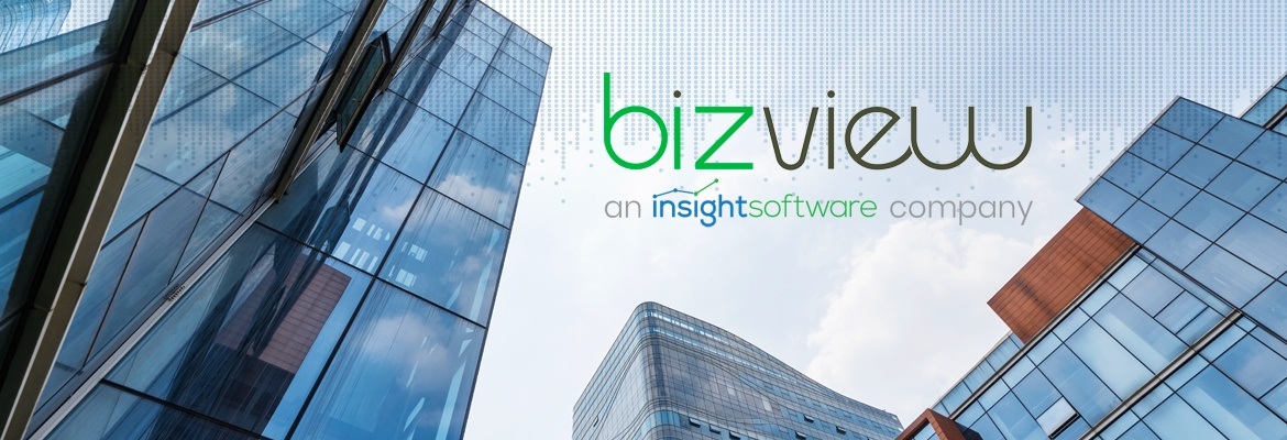 Bizview Acquisition