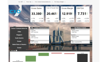 Company Overview Example Dashboard