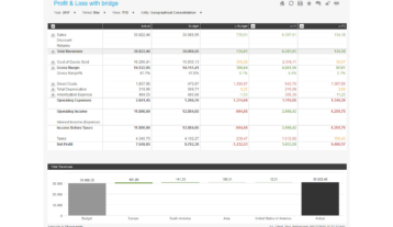 Profit And Loss With Bridge Example Dashboard