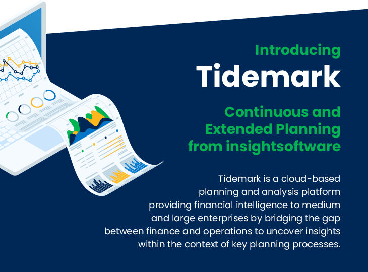 12 2020 Tidemark Blog How Have Global Fluctuations In 2020 Changed Your Planning Process 6