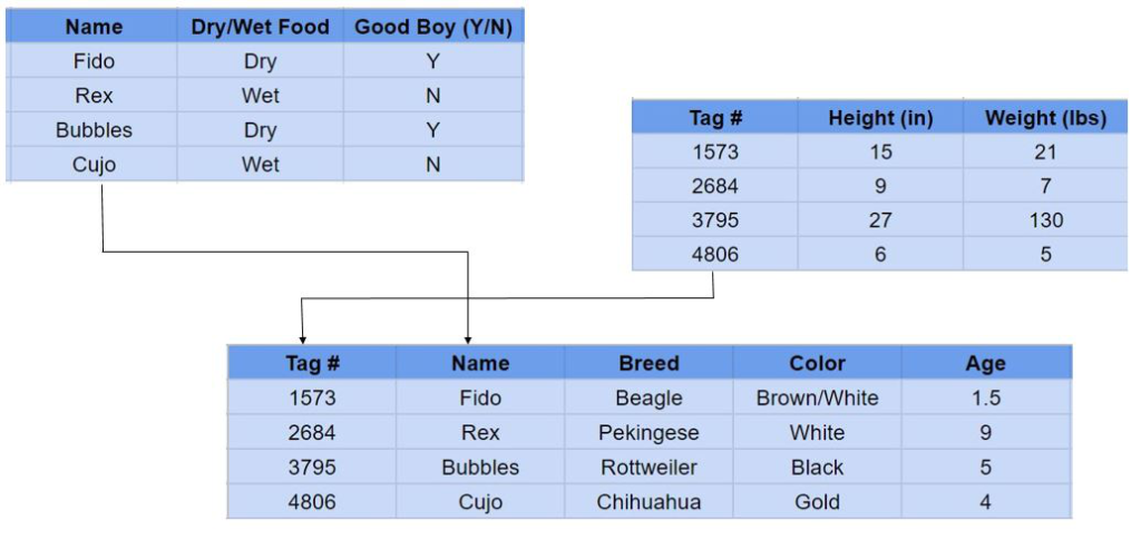 Relational vs Non-Relational Databases: What's the Difference ...