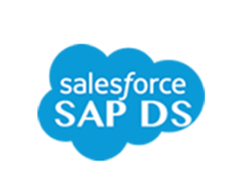 Salesforce SAP DS ODBC Driver