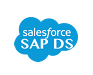 Salesforce SAP DS ODBC Driver