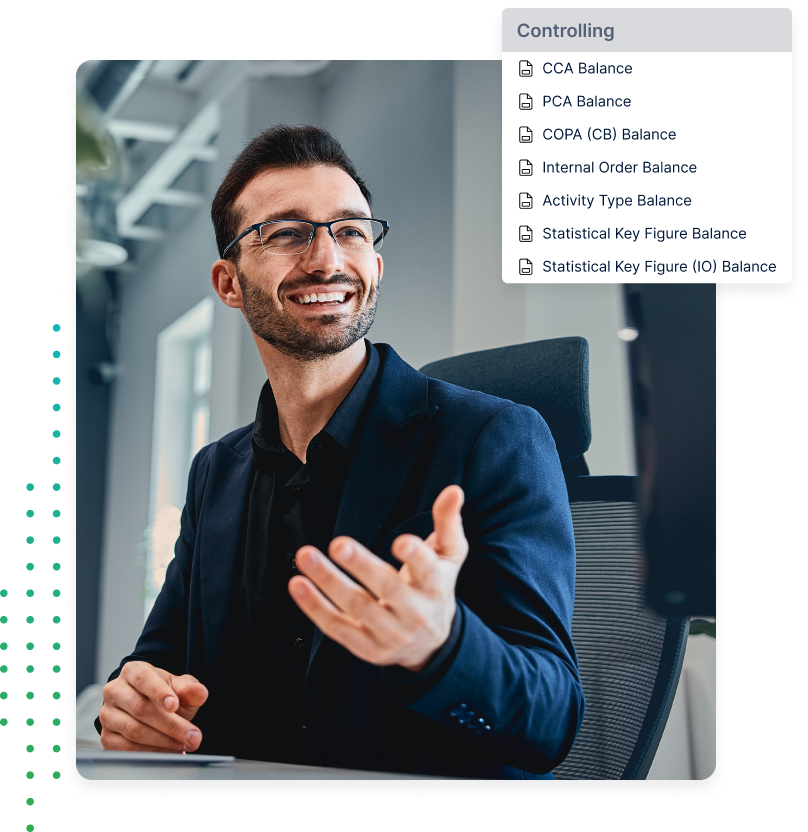 Img Role Financial Controller