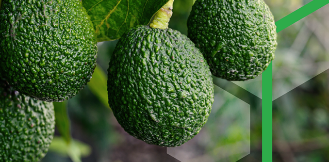 25 02 Cs Migrations Leaseaccelerator Missionproduce Casestudy Website 1090